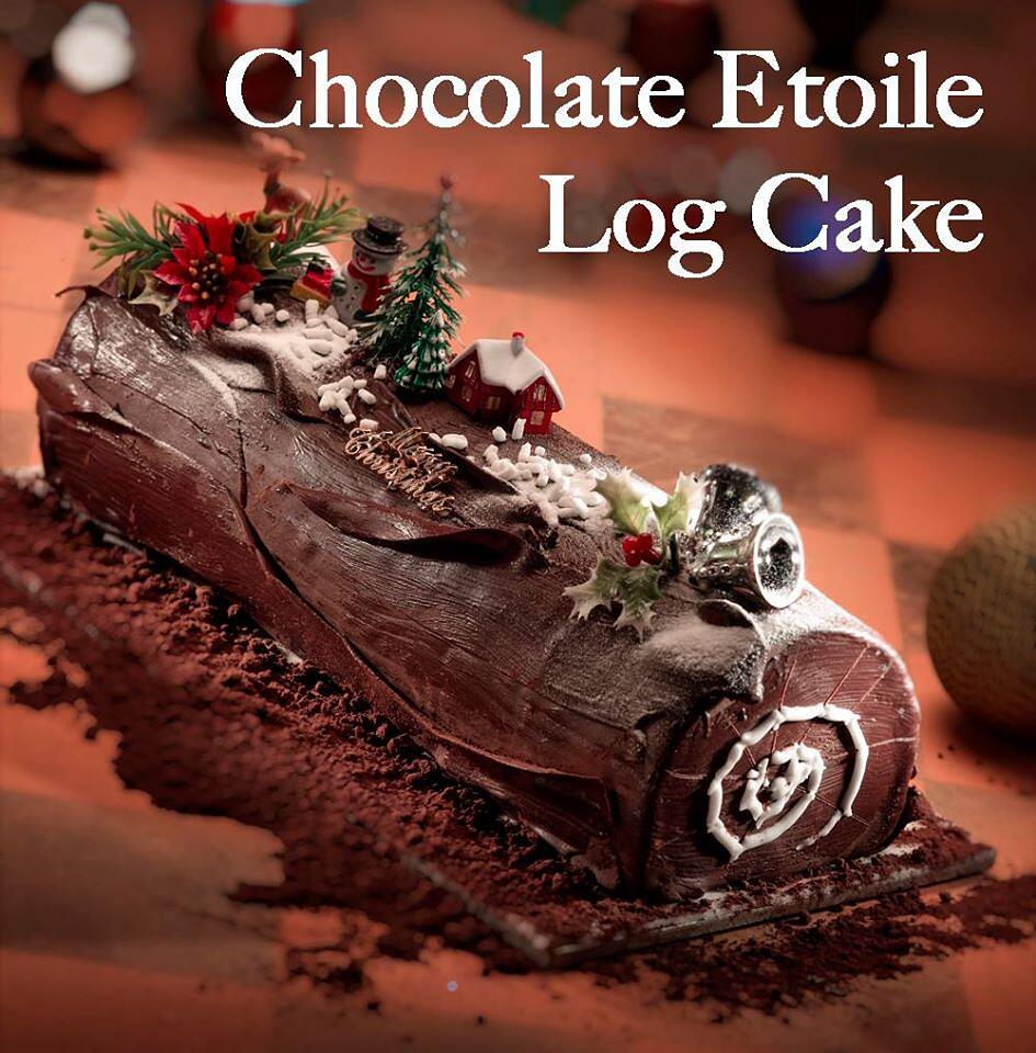 Chocolate Etoile Log Cake