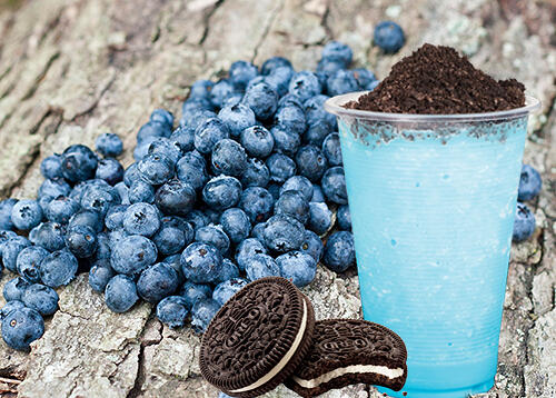 Blueberry Smoothie